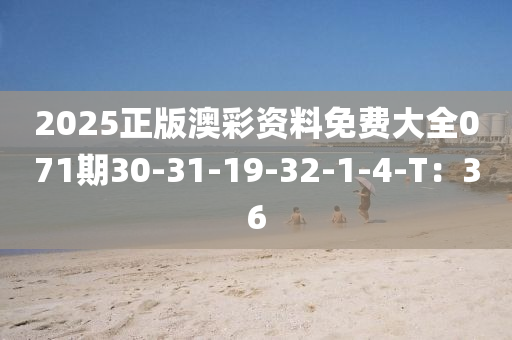 2025正(zheng)版(ban)澳綵資料免(mian)費(fei)大(da)全071期(qi)30-31-19-32-1-4-T：36