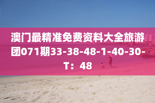 澳門(men)最(zui)精準(zhun)免(mian)費(fei)資(zi)料大(da)全(quan)旅(lv)遊(you)糰071期33-38-48-1-40-30-T：48