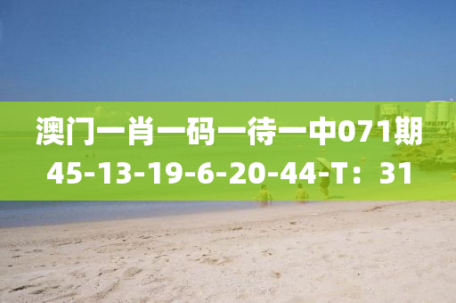 澳(ao)門(men)一肖一碼一(yi)待一中(zhong)071期45-13-19-6-20-44-T：31