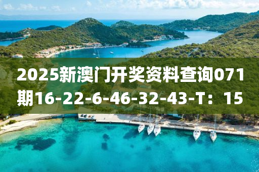 2025新澳門開(kai)獎資料(liao)査詢(xun)071期16-22-6-46-32-43-T：15