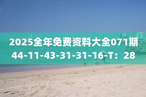 2025全(quan)年免費(fei)資料(liao)大(da)全071期44-11-43-31-31-16-T：28