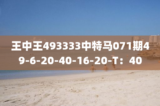 王(wang)中(zhong)王(wang)493333中(zhong)特馬071期(qi)49-6-20-40-16-20-T：40