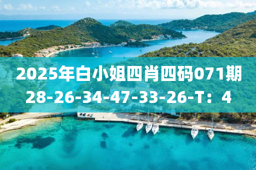 2025年(nian)白小(xiao)姐四(si)肖(xiao)四碼071期(qi)28-26-34-47-33-26-T：4