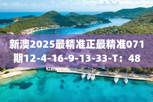新澳2025最精準正(zheng)最精(jing)準(zhun)071期(qi)12-4-16-9-13-33-T：48