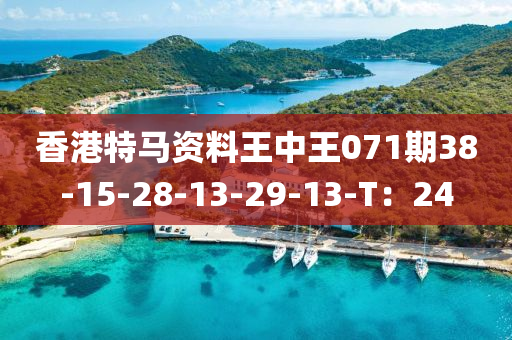 香港特(te)馬(ma)資(zi)料(liao)王中(zhong)王071期(qi)38-15-28-13-29-13-T：24