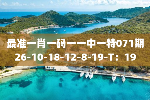 最(zui)準(zhun)一(yi)肖(xiao)一(yi)碼(ma)一(yi)一(yi)中一特(te)071期26-10-18-12-8-19-T：19