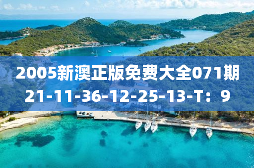 2005新澳(ao)正(zheng)版(ban)免(mian)費(fei)大(da)全(quan)071期21-11-36-12-25-13-T：9