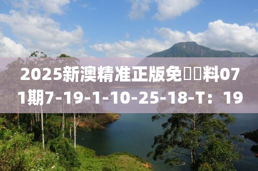 2025新(xin)澳精準正版免費資料071期(qi)7-19-1-10-25-18-T：19