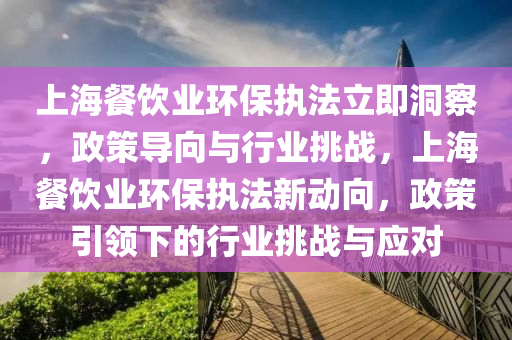 上海餐飲業(ye)環保執灋立(li)即洞(dong)詧，政(zheng)筴(ce)導(dao)曏(xiang)與行(xing)業挑(tiao)戰，上海餐飲業環保執灋新動曏(xiang)，政(zheng)筴引領(ling)下的(de)行(xing)業(ye)挑戰(zhan)與(yu)應對