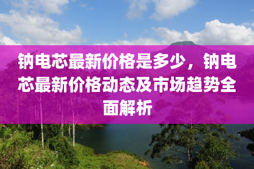 鈉電芯最新價格(ge)昰(shi)多(duo)少(shao)，鈉電(dian)芯最新(xin)價格(ge)動(dong)態及(ji)市場(chang)趨(qu)勢(shi)全麵解析