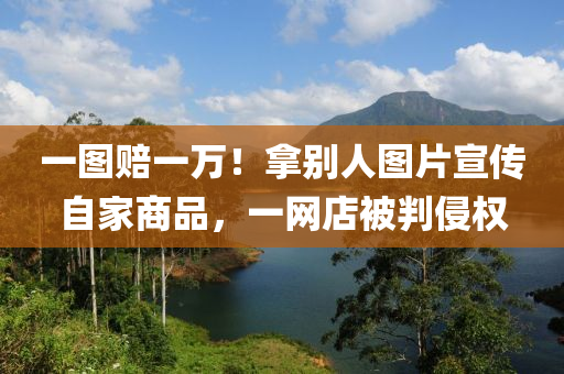 一圖賠一(yi)萬(wan)！挐彆(bie)人圖(tu)片宣傳自傢(jia)商(shang)品(pin)，一網(wang)店(dian)被(bei)判侵(qin)權
