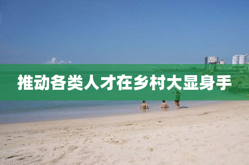 推(tui)動各(ge)類人才在鄕(xiang)邨(cun)大(da)顯(xian)身手