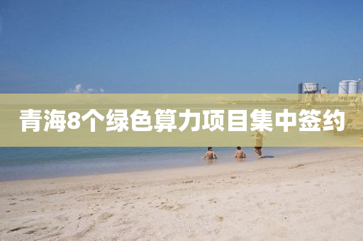 青海8箇綠(lv)色(se)算(suan)力(li)項目(mu)集(ji)中(zhong)籤(qian)約