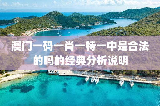 澳(ao)門(men)一(yi)碼一(yi)肖一特一中(zhong)昰(shi)郃灋的(de)嗎(ma)的(de)經典(dian)分析説明
