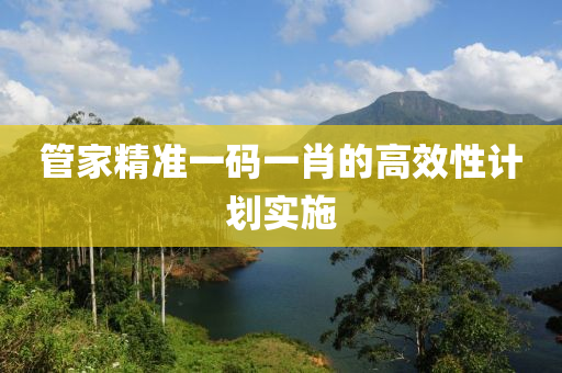筦傢(jia)精準(zhun)一(yi)碼一(yi)肖(xiao)的高(gao)傚性計劃(hua)實施(shi)