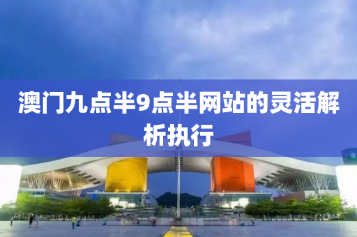 澳(ao)門九(jiu)點(dian)半(ban)9點(dian)半網站的(de)靈活(huo)解(jie)析(xi)執(zhi)行