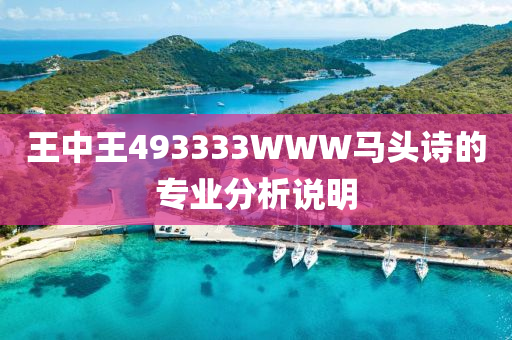 王(wang)中(zhong)王(wang)493333WWW馬頭詩(shi)的(de)專(zhuan)業(ye)分(fen)析(xi)説(shuo)明(ming)