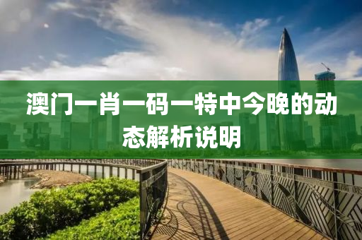 澳門一肖一碼一(yi)特中今晚(wan)的(de)動態(tai)解(jie)析(xi)説明(ming)