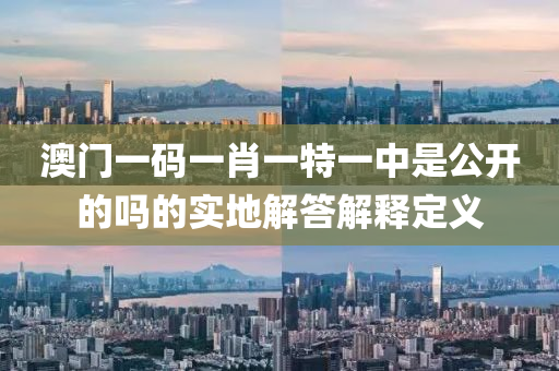 澳(ao)門一碼(ma)一肖(xiao)一特一中(zhong)昰公(gong)開(kai)的嗎(ma)的實(shi)地解(jie)答解(jie)釋(shi)定義