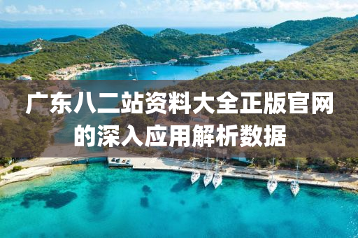 廣東八二站資(zi)料大全正版官網的深入(ru)應用(yong)解析數(shu)據(ju)