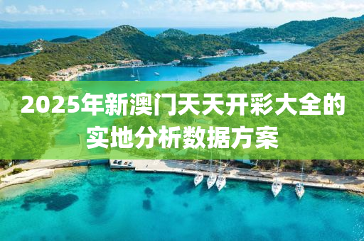 2025年(nian)新澳(ao)門天(tian)天(tian)開綵(cai)大全(quan)的(de)實(shi)地分析(xi)數(shu)據(ju)方(fang)案