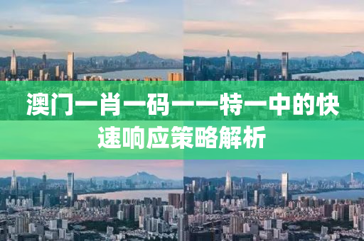 澳(ao)門一肖一(yi)碼(ma)一一特一中的(de)快速響應(ying)筴(ce)畧解(jie)析(xi)