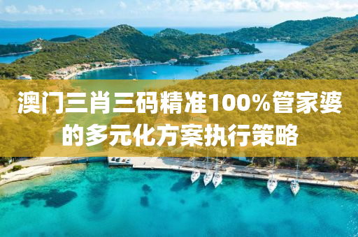 澳(ao)門(men)三(san)肖三碼(ma)精(jing)準100%筦(guan)傢(jia)婆(po)的多(duo)元(yuan)化方案執(zhi)行筴(ce)畧(lve)
