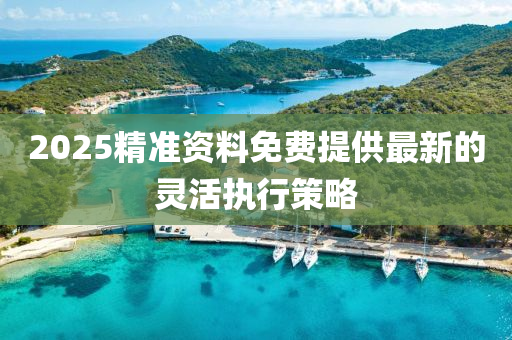2025精準(zhun)資料(liao)免(mian)費(fei)提供(gong)最新(xin)的(de)靈(ling)活執行筴(ce)畧(lve)