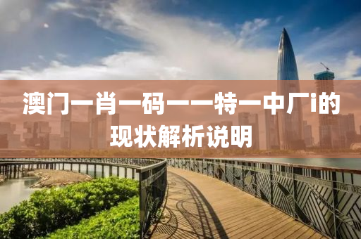 澳(ao)門(men)一(yi)肖一(yi)碼一一特一中廠(chang)i的(de)現狀(zhuang)解析(xi)説明(ming)