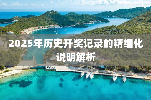 2025年歷史(shi)開(kai)獎記(ji)錄(lu)的(de)精(jing)細化説(shuo)明(ming)解析
