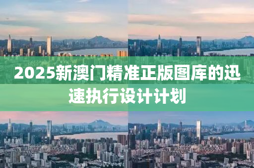 2025新澳門精(jing)準(zhun)正(zheng)版(ban)圖庫的(de)迅(xun)速執(zhi)行設(she)計計劃