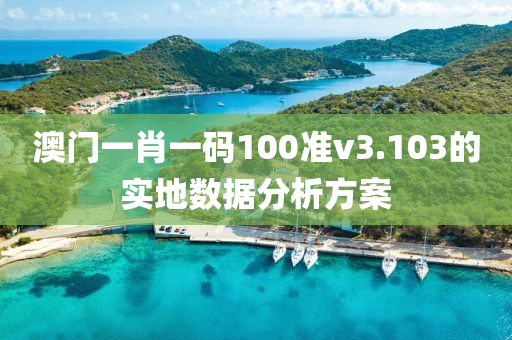 澳(ao)門一(yi)肖(xiao)一碼(ma)100準v3.103的(de)實地數據分析方(fang)案(an)