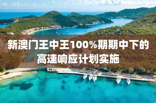 新(xin)澳門(men)王中(zhong)王100%期(qi)期中(zhong)下(xia)的高(gao)速(su)響(xiang)應(ying)計(ji)劃實(shi)施(shi)