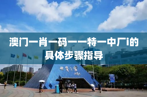 澳(ao)門一肖(xiao)一碼(ma)一一(yi)特一中廠(chang)i的(de)具體(ti)步驟指(zhi)導