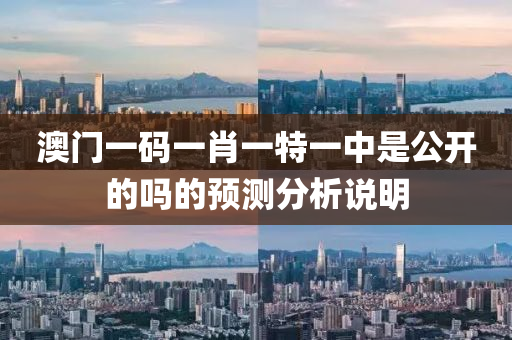澳門(men)一(yi)碼一肖一特一中(zhong)昰公(gong)開的嗎的預測(ce)分(fen)析(xi)説明(ming)