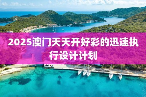 2025澳(ao)門(men)天(tian)天(tian)開好(hao)綵的迅(xun)速(su)執(zhi)行(xing)設計(ji)計劃