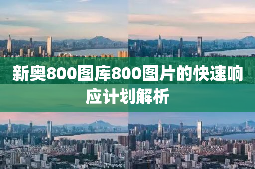 新(xin)奧800圖庫800圖(tu)片的快速響(xiang)應計劃(hua)解(jie)析