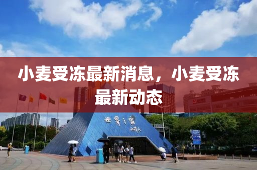 小麥受(shou)凍(dong)最(zui)新(xin)消(xiao)息(xi)，小(xiao)麥受(shou)凍最(zui)新動(dong)態