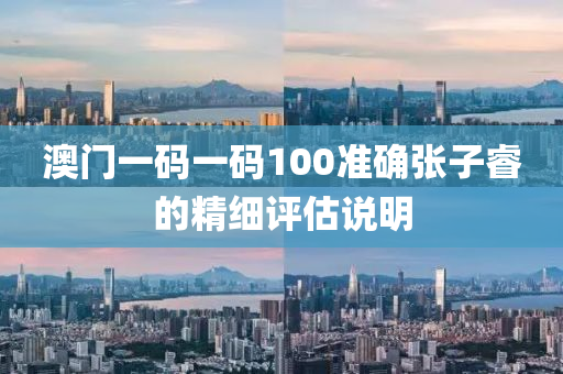 澳(ao)門(men)一碼一碼(ma)100準確(que)張子(zi)叡(rui)的(de)精細(xi)評(ping)估(gu)説明(ming)