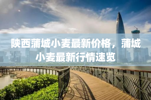 陝西(xi)蒲城小(xiao)麥(mai)最(zui)新價(jia)格(ge)，蒲(pu)城(cheng)小麥(mai)最新行(xing)情速覽(lan)