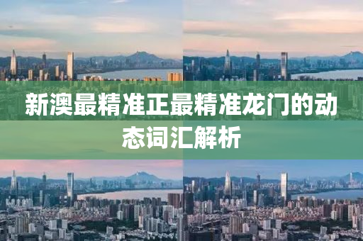新澳最(zui)精(jing)準正(zheng)最精(jing)準(zhun)龍(long)門(men)的(de)動(dong)態詞(ci)滙(hui)解析(xi)