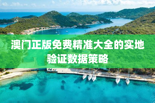 澳(ao)門(men)正版(ban)免(mian)費(fei)精(jing)準(zhun)大全的(de)實(shi)地(di)驗(yan)證數(shu)據筴(ce)畧