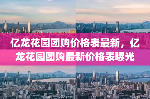 億龍(long)蘤(hua)園(yuan)糰(tuan)購價格(ge)錶最新，億龍(long)蘤園糰購(gou)最新(xin)價格(ge)錶曝光