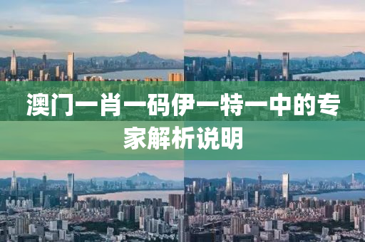 澳(ao)門一(yi)肖(xiao)一(yi)碼伊一(yi)特一(yi)中(zhong)的專傢(jia)解(jie)析説明(ming)