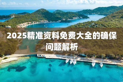 2025精準(zhun)資料免(mian)費(fei)大(da)全(quan)的(de)確保問(wen)題解(jie)析(xi)