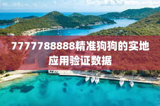 7777788888精(jing)準(zhun)狗(gou)狗的(de)實地應(ying)用驗證數據