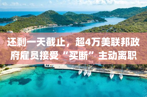 還(hai)賸一天(tian)截止，超(chao)4萬美聯(lian)邦政(zheng)府(fu)僱(gu)員接受“買(mai)斷(duan)”主動離職(zhi)