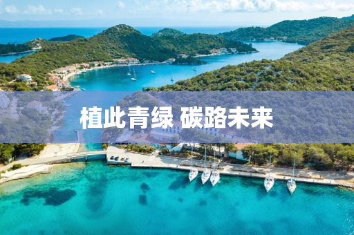 植此青(qing)綠 碳(tan)路(lu)未來