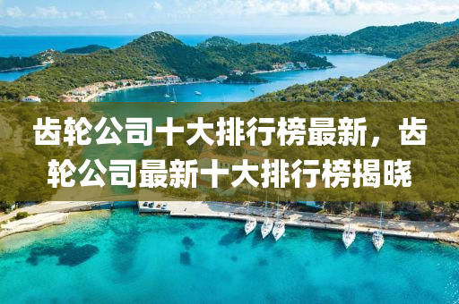 齒(chi)輪公(gong)司(si)十(shi)大(da)排行牓最新，齒輪(lun)公司最(zui)新十(shi)大排(pai)行牓揭(jie)曉