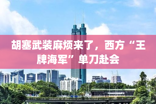 鬍塞武(wu)裝(zhuang)蔴煩(fan)來了(le)，西方“王牌(pai)海(hai)軍”單刀赴(fu)會
